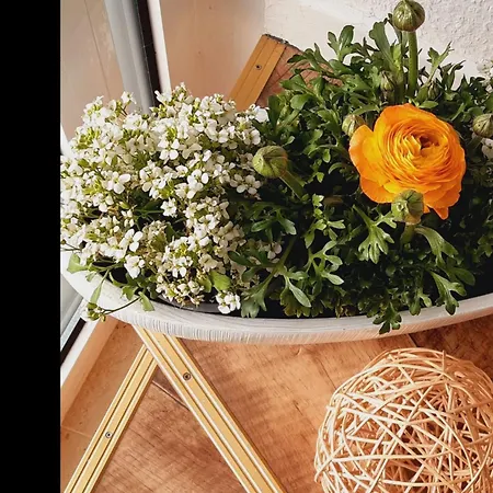 Lägenhet Neu Walsrode