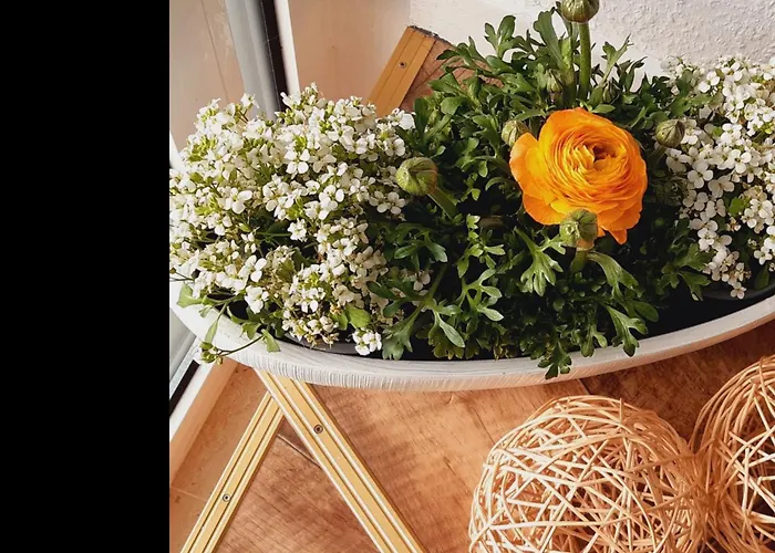 公寓 Neu 瓦尔斯罗德